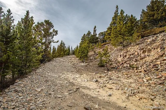 Lot 530 Hilltop Road Idaho Springs, CO 80452