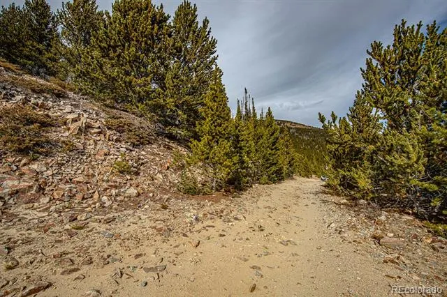 Lot 530 Hilltop Road Idaho Springs, CO 80452