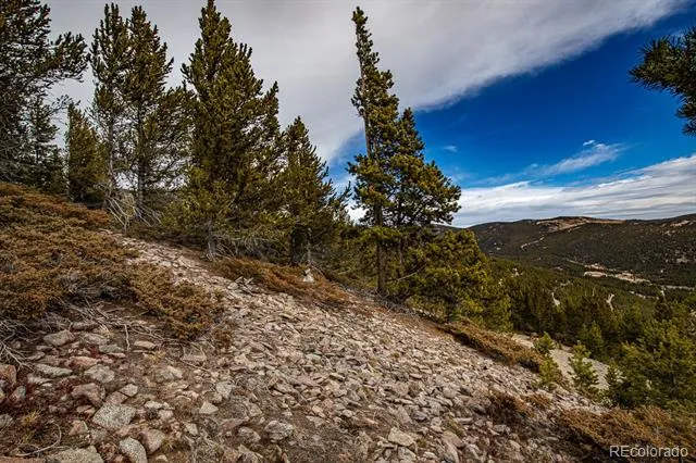 Lot 530 Hilltop Road Idaho Springs, CO 80452