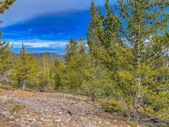 Lot 530 Hilltop Road Idaho Springs, CO 80452