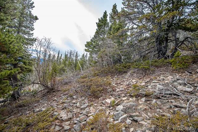 Lot 530 Hilltop Road Idaho Springs, CO 80452
