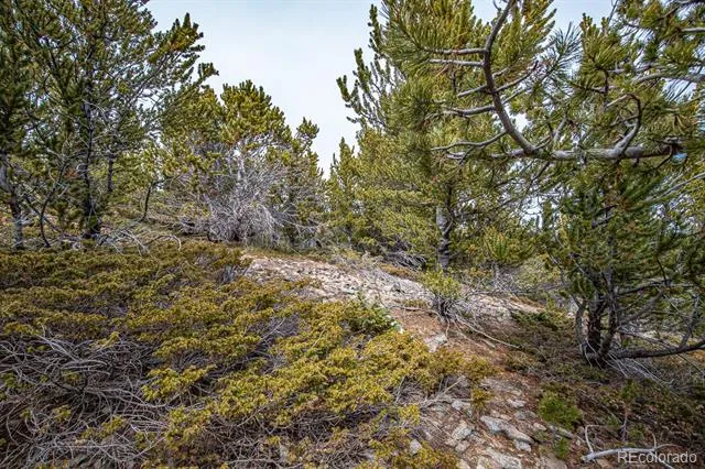 Lot 530 Hilltop Road Idaho Springs, CO 80452