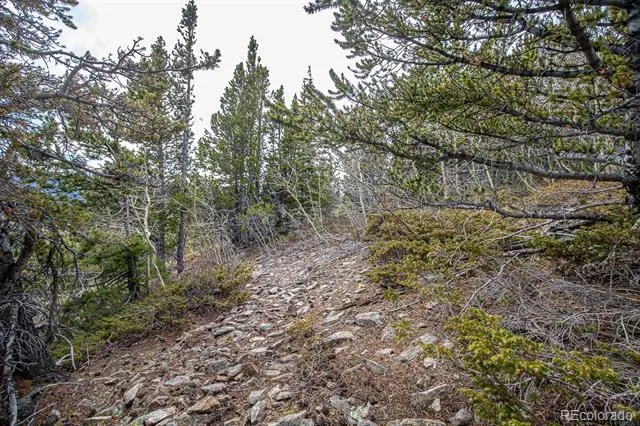 Lot 530 Hilltop Road Idaho Springs, CO 80452
