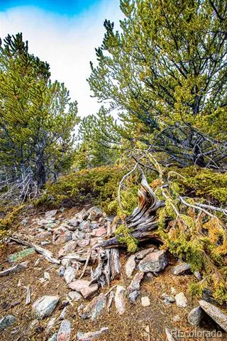 Lot 530 Hilltop Road Idaho Springs, CO 80452