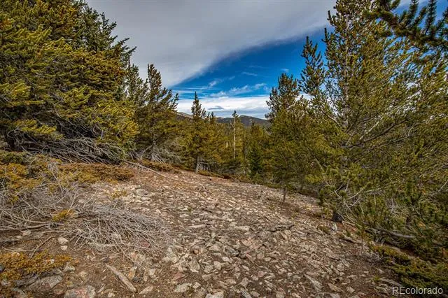 Lot 530 Hilltop Road Idaho Springs, CO 80452