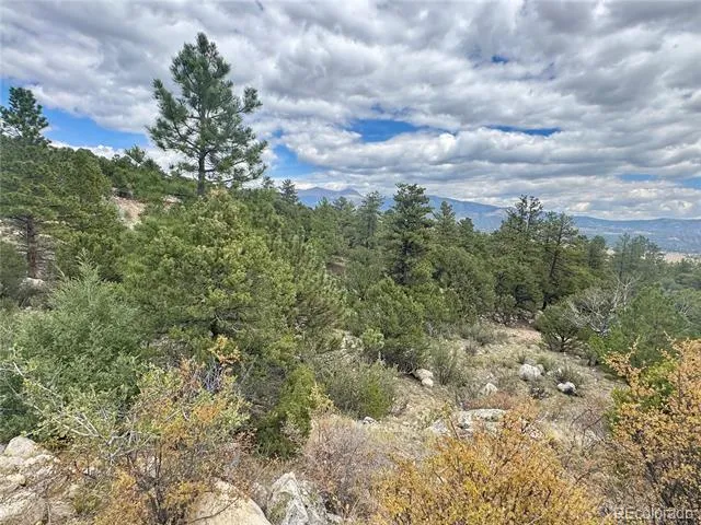 30110 Princeton Hills Buena Vista, CO 81211
