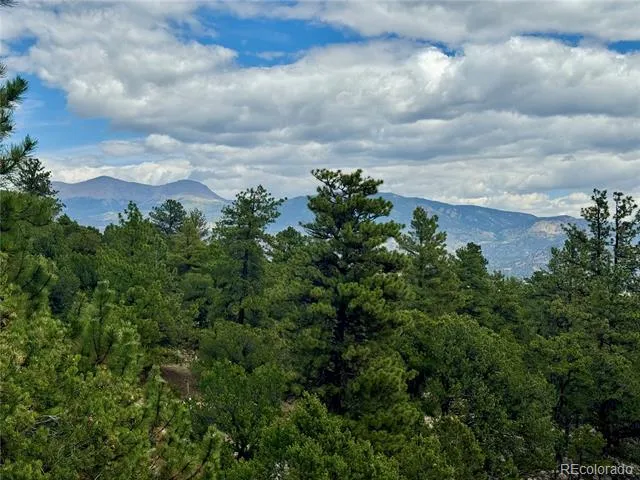 30110 Princeton Hills Buena Vista, CO 81211