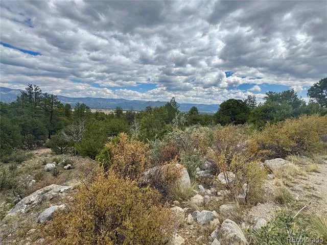 30110 Princeton Hills Buena Vista, CO 81211