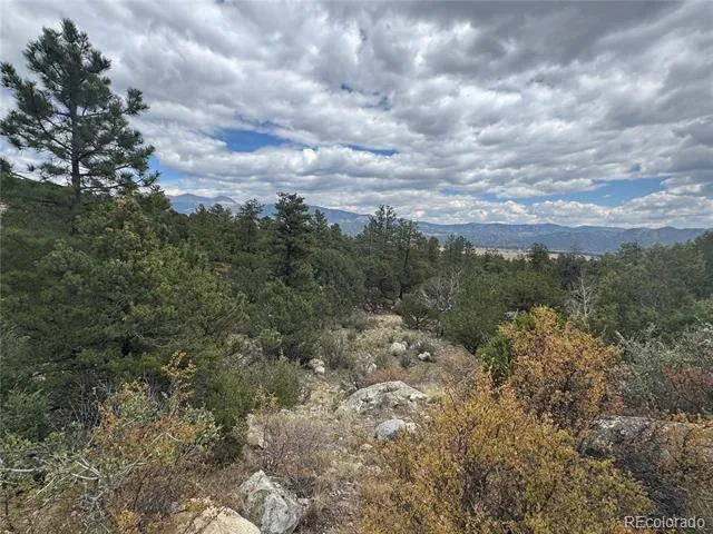 30110 Princeton Hills Buena Vista, CO 81211