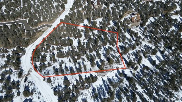 30110 Princeton Hills Buena Vista, CO 81211