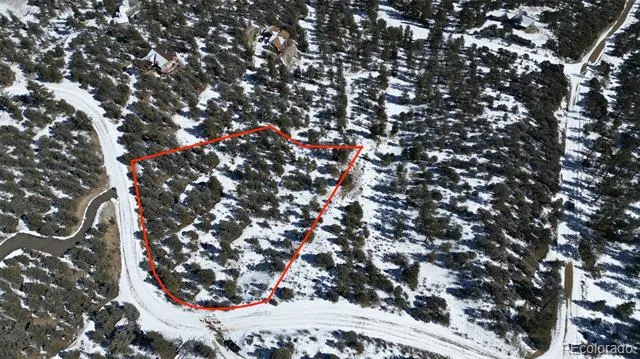 30110 Princeton Hills Buena Vista, CO 81211