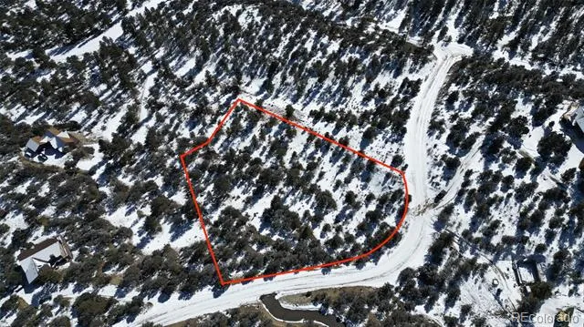 30110 Princeton Hills Buena Vista, CO 81211