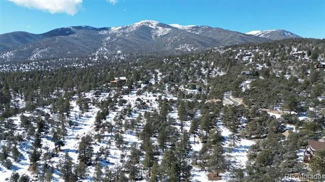30110 Princeton Hills Buena Vista, CO 81211