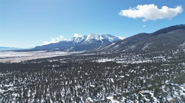 30110 Princeton Hills Buena Vista, CO 81211