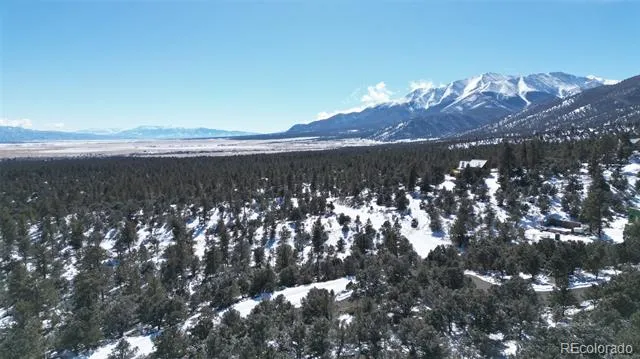 30110 Princeton Hills Buena Vista, CO 81211