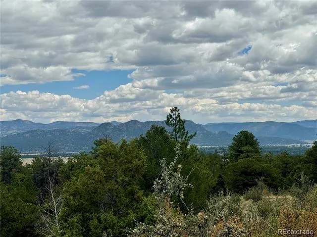 30110 Princeton Hills Buena Vista, CO 81211