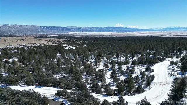 30110 Princeton Hills Buena Vista, CO 81211