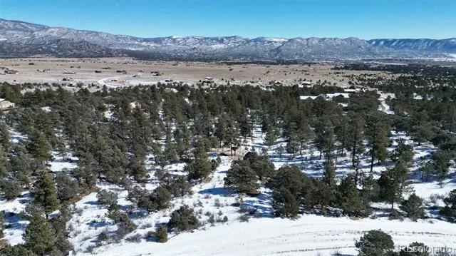 30110 Princeton Hills Buena Vista, CO 81211