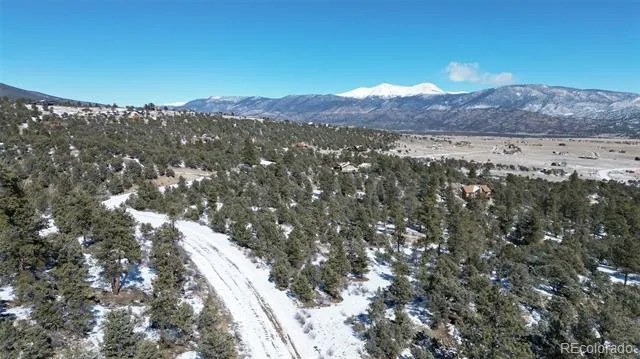 30110 Princeton Hills Buena Vista, CO 81211