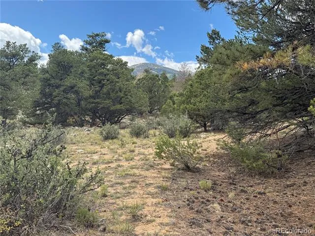 30110 Princeton Hills Buena Vista, CO 81211