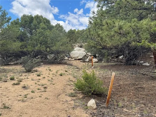 30110 Princeton Hills Buena Vista, CO 81211