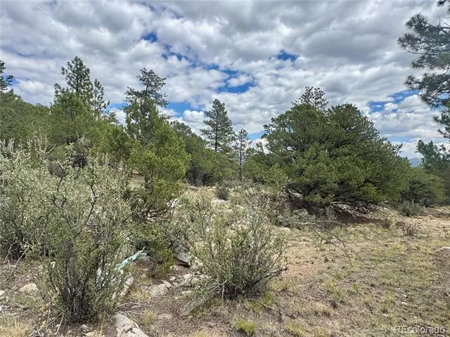 30110 Princeton Hills Buena Vista, CO 81211