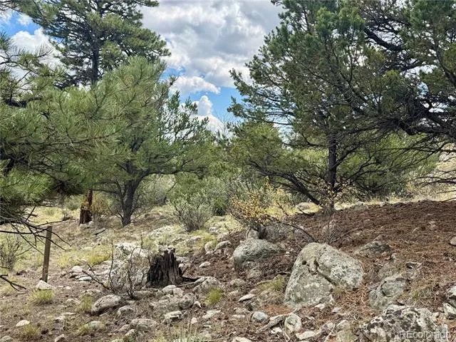 30110 Princeton Hills Buena Vista, CO 81211