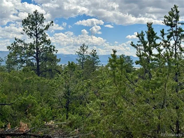 30110 Princeton Hills Buena Vista, CO 81211