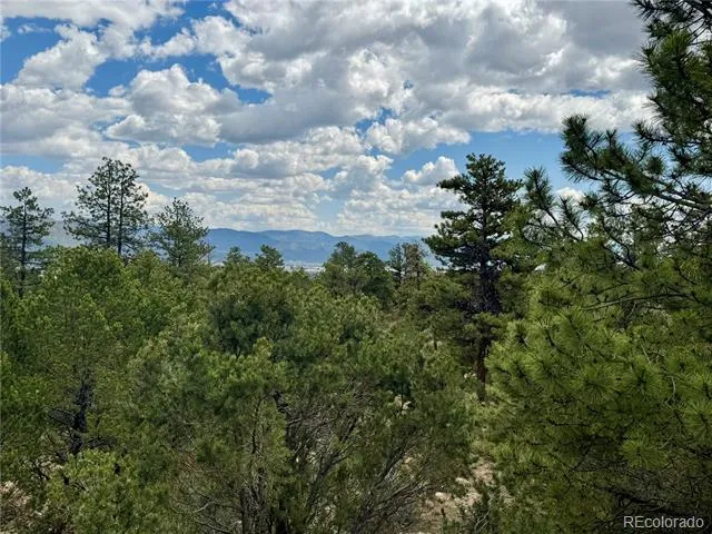30110 Princeton Hills Buena Vista, CO 81211