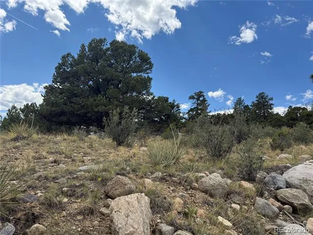 30110 Princeton Hills Buena Vista, CO 81211