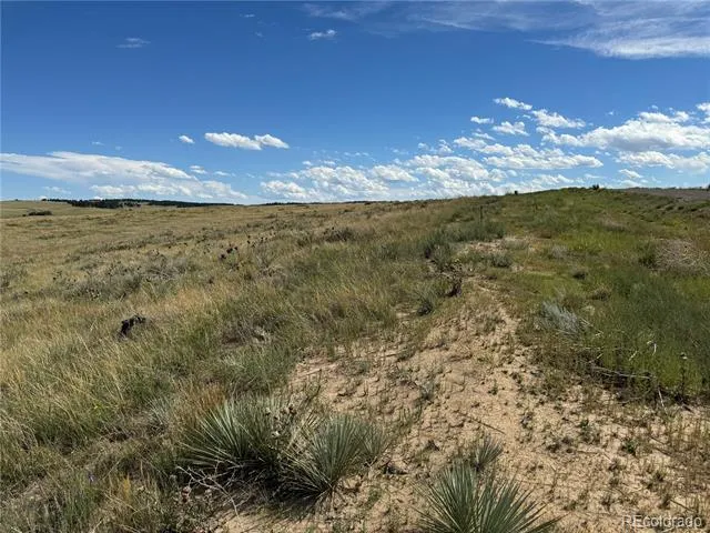 0 Lot 17 Happiness Trail Kiowa, CO 80117