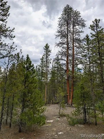 437 Juniper Drive Twin Lakes, CO 81251