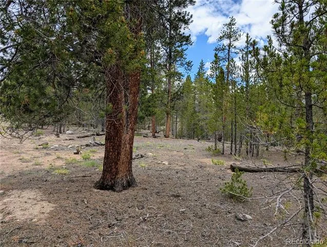 437 Juniper Drive Twin Lakes, CO 81251