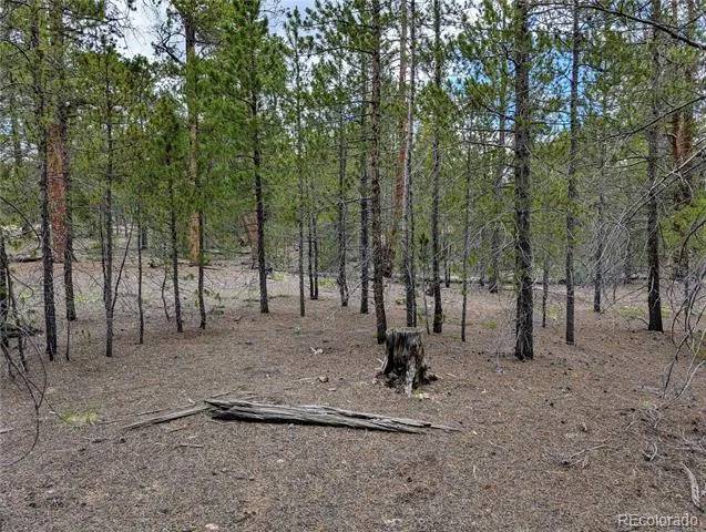 437 Juniper Drive Twin Lakes, CO 81251