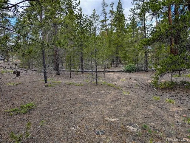437 Juniper Drive Twin Lakes, CO 81251
