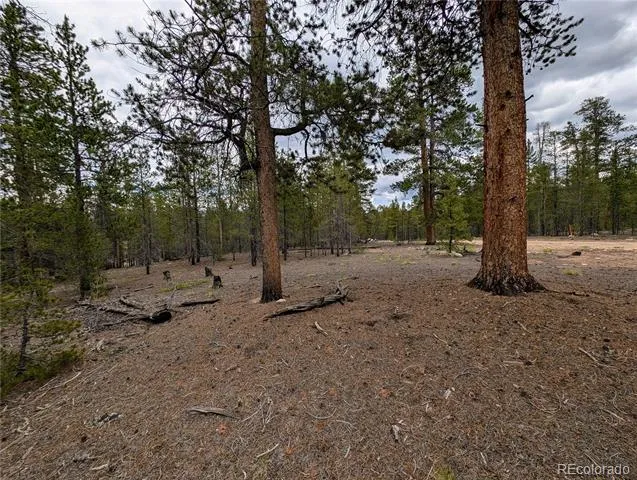 437 Juniper Drive Twin Lakes, CO 81251