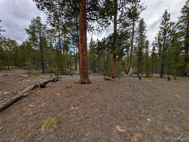 437 Juniper Drive Twin Lakes, CO 81251