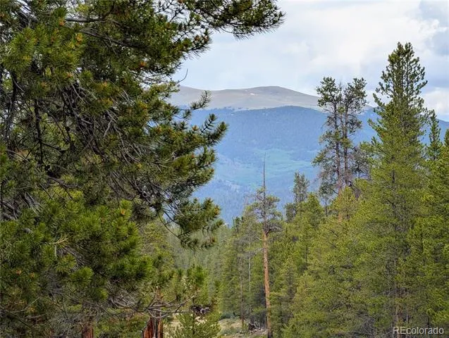 437 Juniper Drive Twin Lakes, CO 81251
