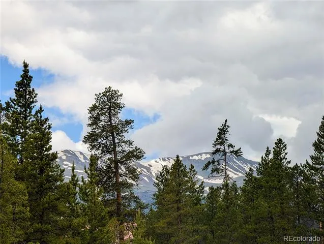 437 Juniper Drive Twin Lakes, CO 81251
