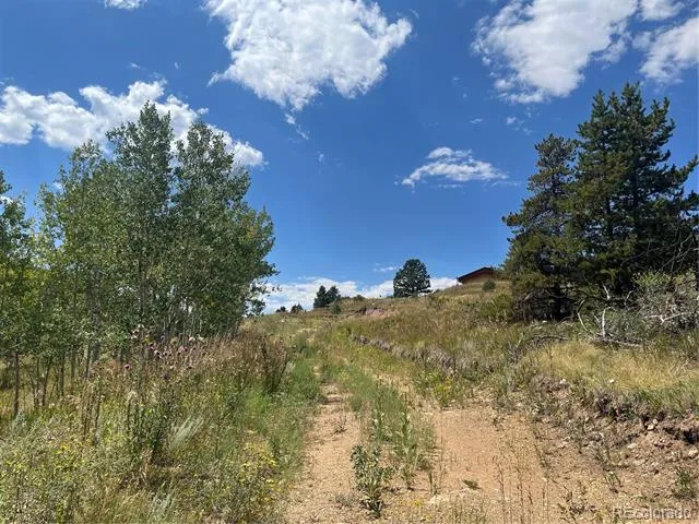 795 Russell Gulch Road Central City, CO 80427