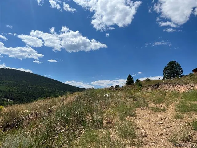 795 Russell Gulch Road Central City, CO 80427