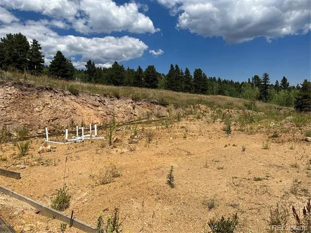 795 Russell Gulch Road Central City, CO 80427