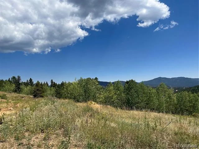 795 Russell Gulch Road Central City, CO 80427