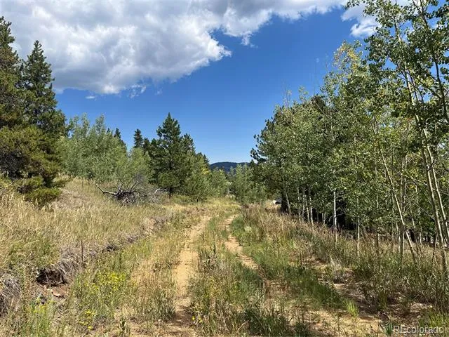 795 Russell Gulch Road Central City, CO 80427