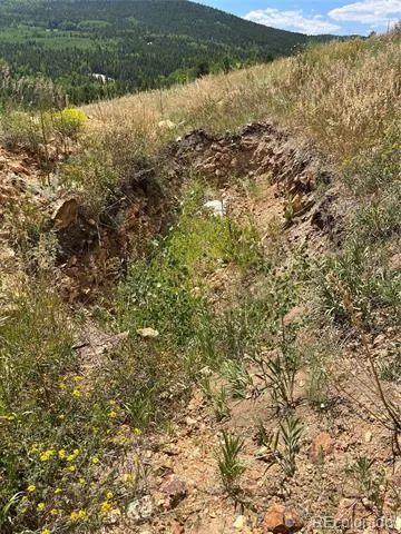 795 Russell Gulch Road Central City, CO 80427