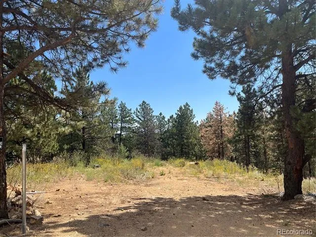 795 Russell Gulch Road Central City, CO 80427