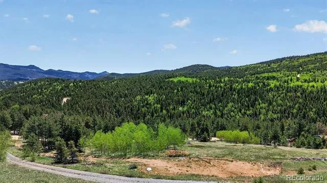 795 Russell Gulch Road Central City, CO 80427