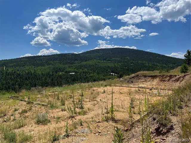 795 Russell Gulch Road Central City, CO 80427