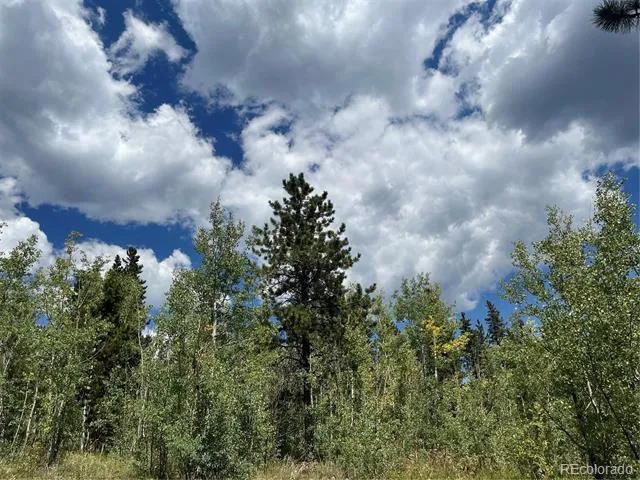 795 Russell Gulch Road Central City, CO 80427