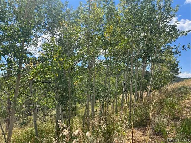 795 Russell Gulch Road Central City, CO 80427